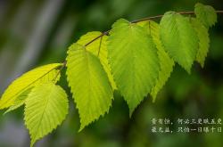LOL赛事-孤星绝杀，久保建英的瞬息之光，照亮2026世界杯A组最冷一夜