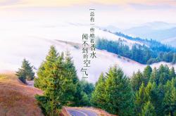 英雄联盟总决赛门票-当佩德里点亮中亚之光，一场非典型宿命与2026死亡E组的蓝色预言