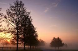 英雄联盟总决赛门票-马赛的镰刀与星辰，黄喜灿如何成为收割尼斯的关键先生？