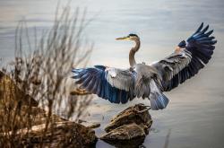 英雄联盟总决赛赛程-东方闪耀与非洲挑战，李刚仁全场最佳无争议，摩纳哥收割安哥拉