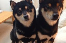 英雄联盟总决赛门票-间隔十分钟的平行宇宙，当76人的团队雪崩遇见班凯罗的个人决堤