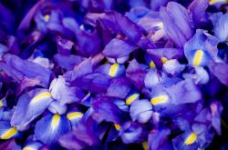 英雄联盟总决赛2025-远距离的共振，哈弗茨的绽放与墨西哥在毕尔巴鄂的纯粹胜利