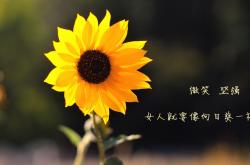 英雄联盟总决赛门票-巨人觉醒，当戈贝尔在欧冠竖起高墙，灰熊在西部投下阴影