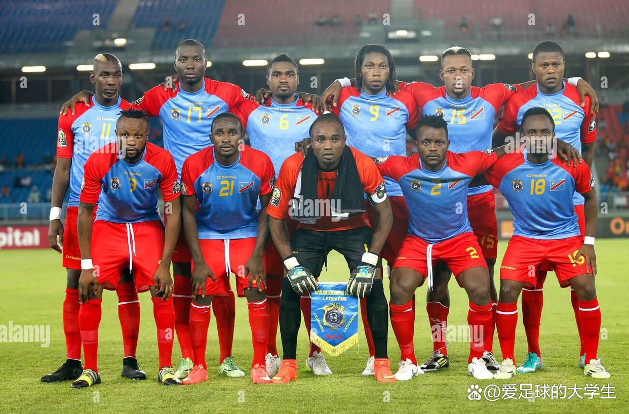 非洲国家杯篮球锦标赛：南非队战胜喀麦隆队