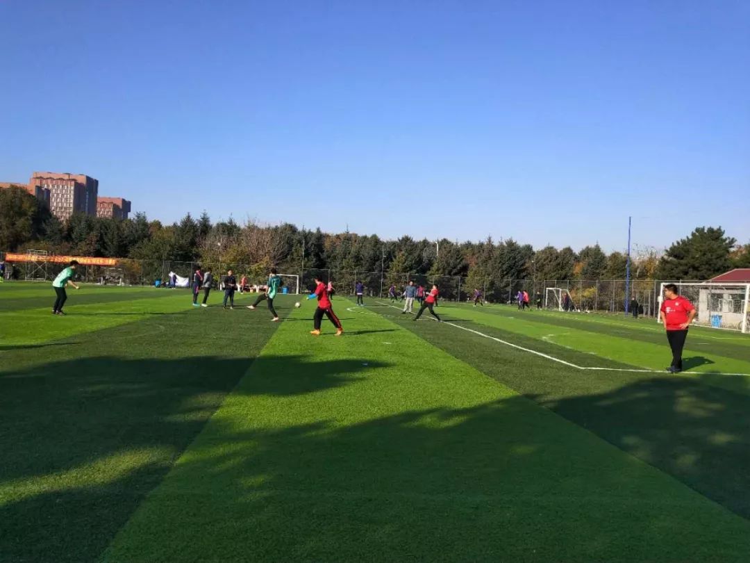 关于挪威队奋起直追，欧锦赛中壮志凌云的信息