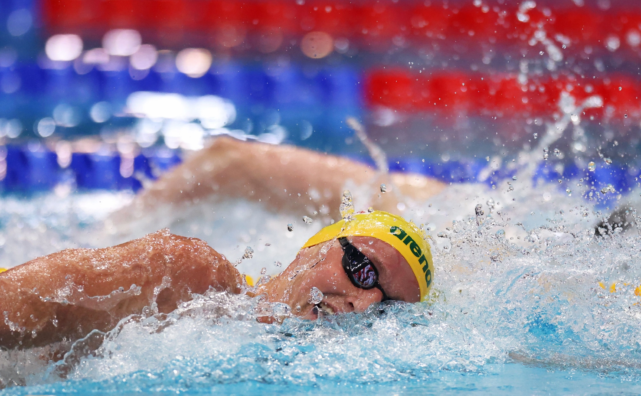 关于游泳赛事精彩瞬间盘点，年度回顾震撼登场的信息