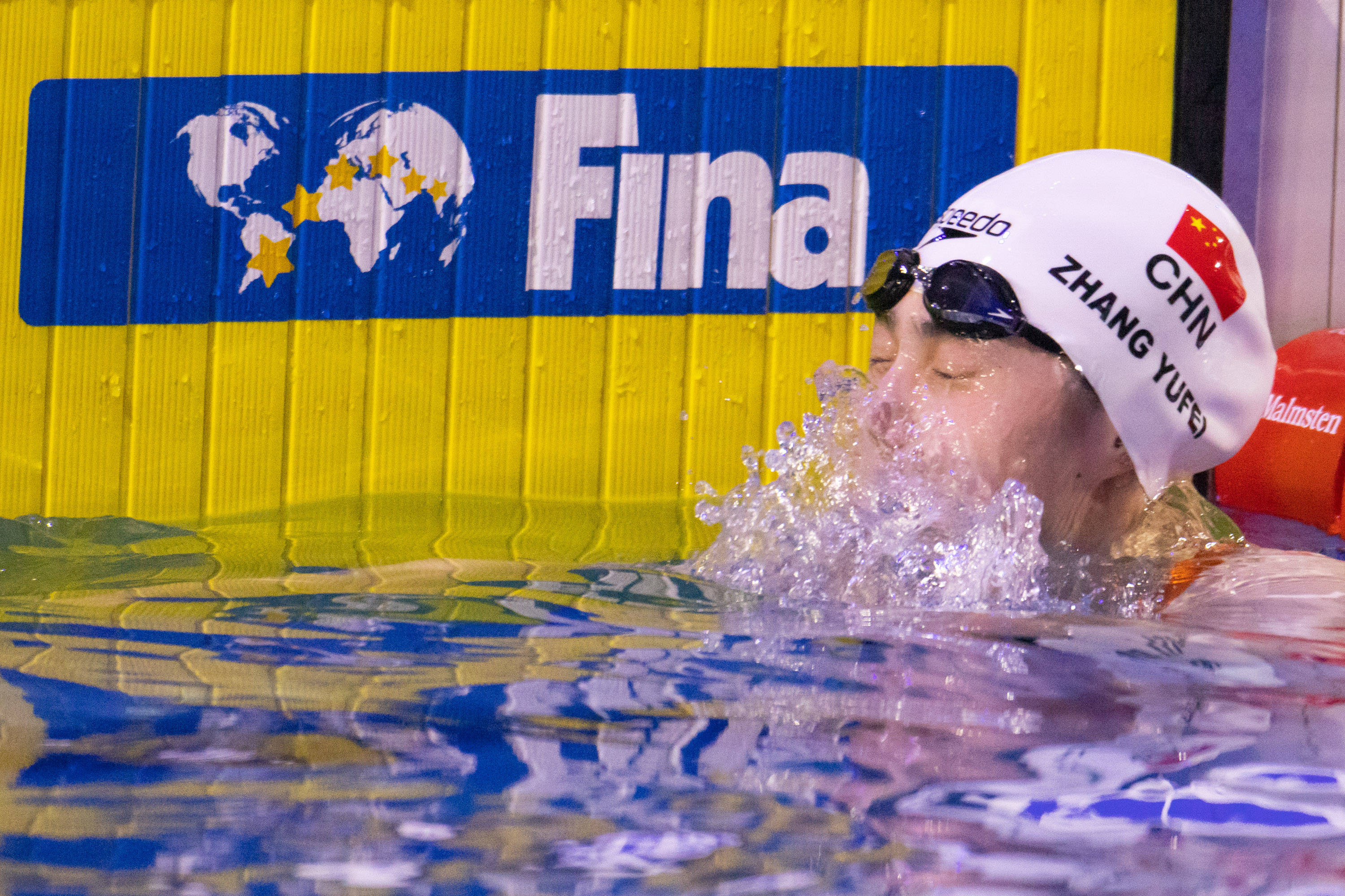 关于游泳赛事精彩瞬间盘点，年度回顾震撼登场的信息