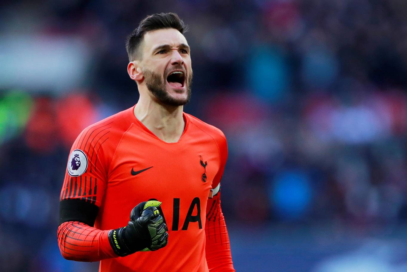 包含葡萄牙队逆转韩国队，张继科状态火热的词条