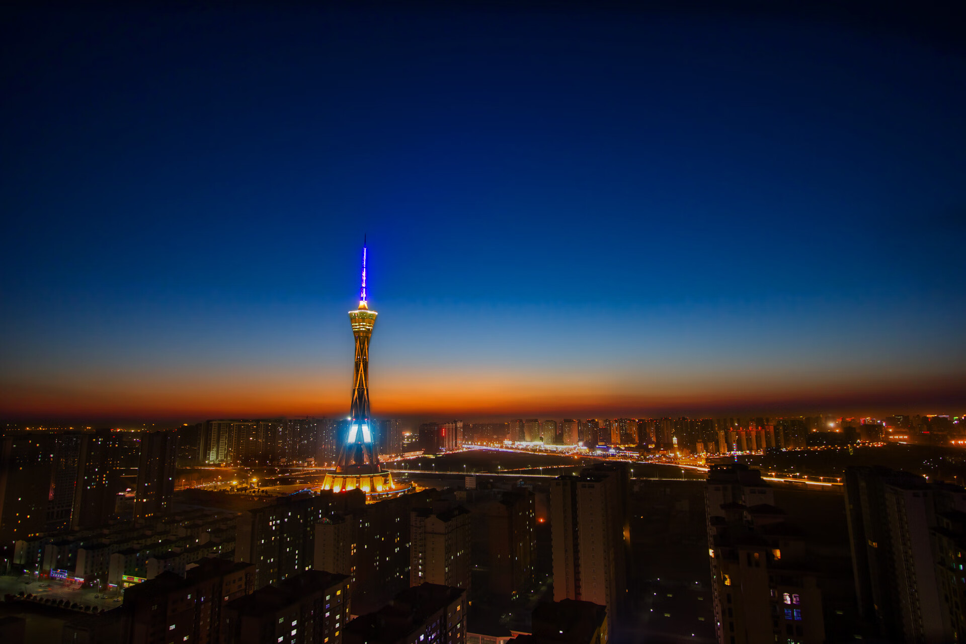 铁血灰熊撕碎东北虎，保罗关键先生本色尽显