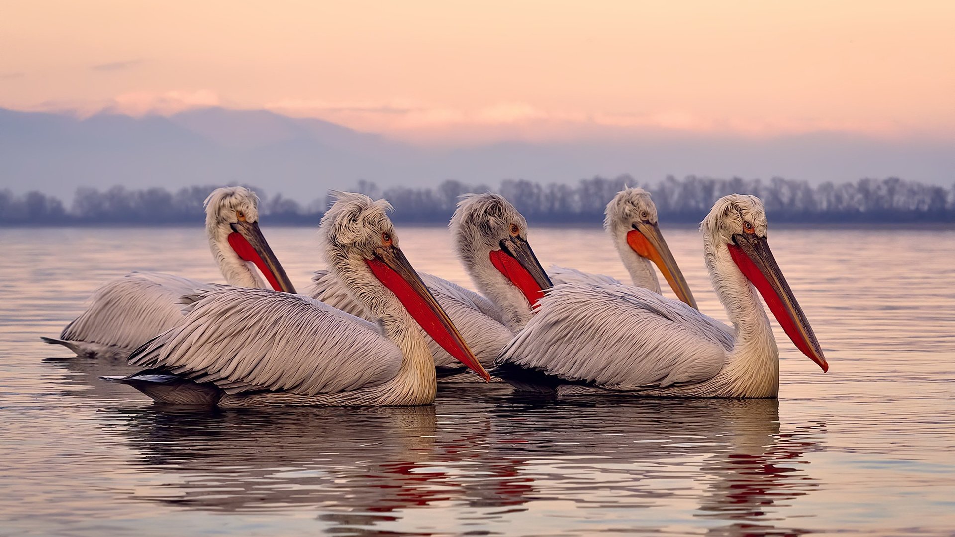 欧冠半决赛之夜，阿坎吉—棋盘上最稳的那颗棋，无声处听惊雷