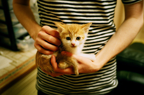 委内瑞拉风暴席卷伦敦城,当一波带走的冷门哲学,遇见劳塔罗的硬仗之王血脉