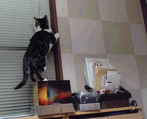 跨越时空的大心脏，关键时刻接管比赛的基因密码