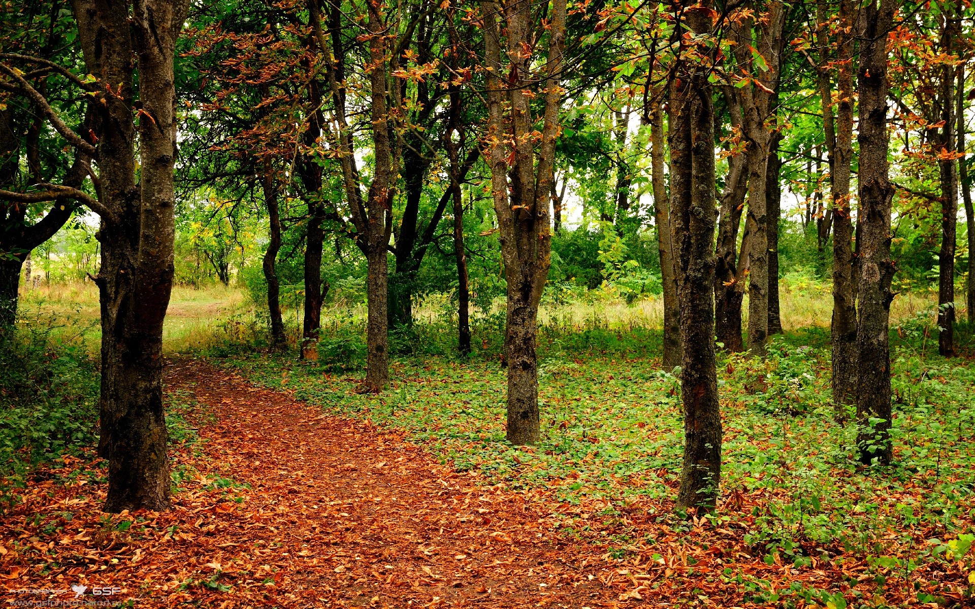群狼围猎大帝，布伦森挺身定乾坤，森林狼铁血防守全面压制76人，关键先生布伦森导演逆转大戏
