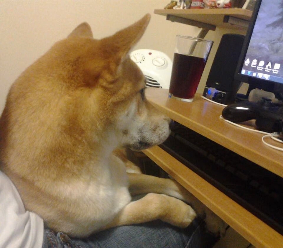 红与金的双重奏,广东队团队压制与詹姆斯个人接管