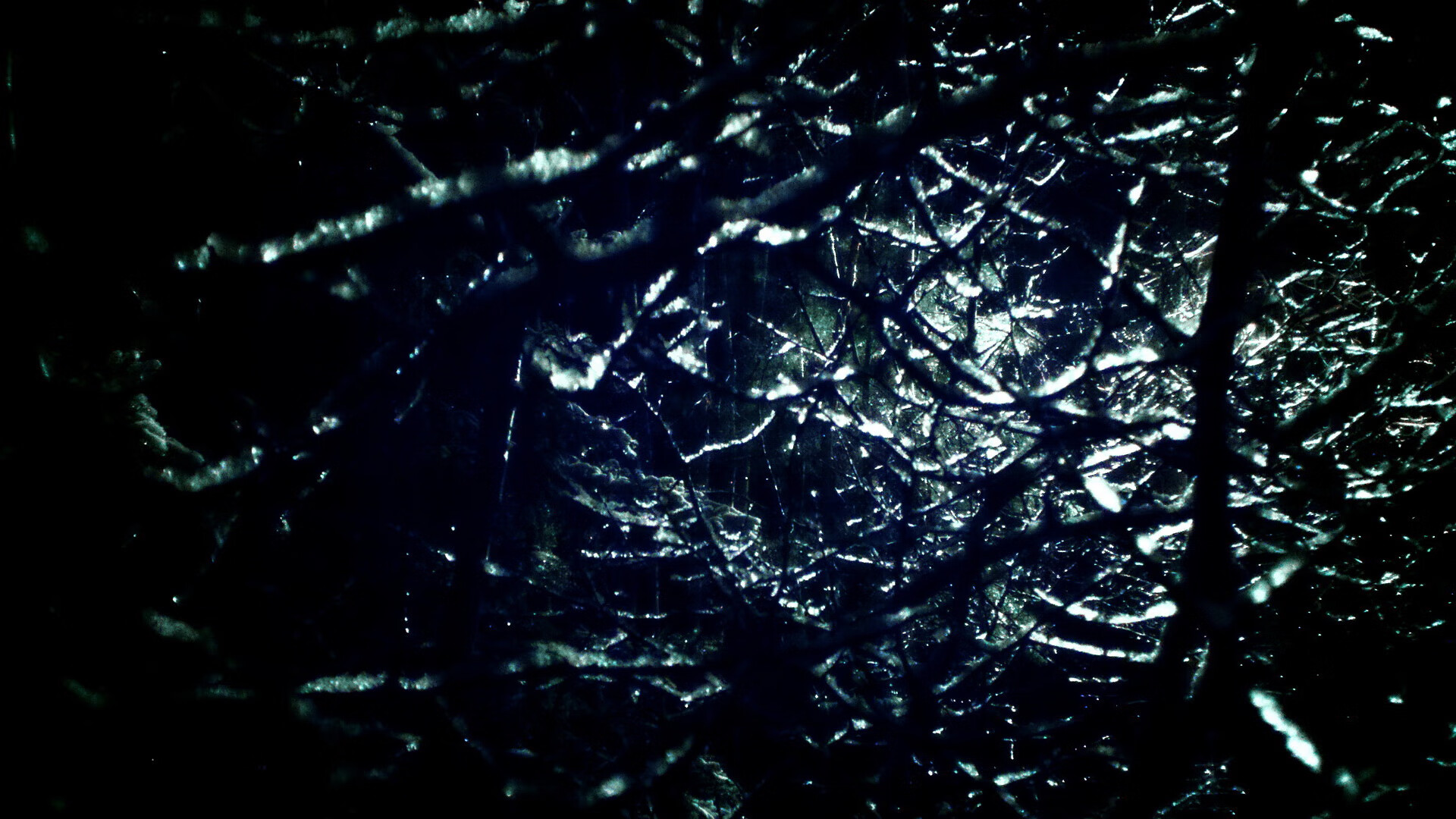 篮球之夜,尼克斯一波带走魔术,约基奇全场最佳无争议