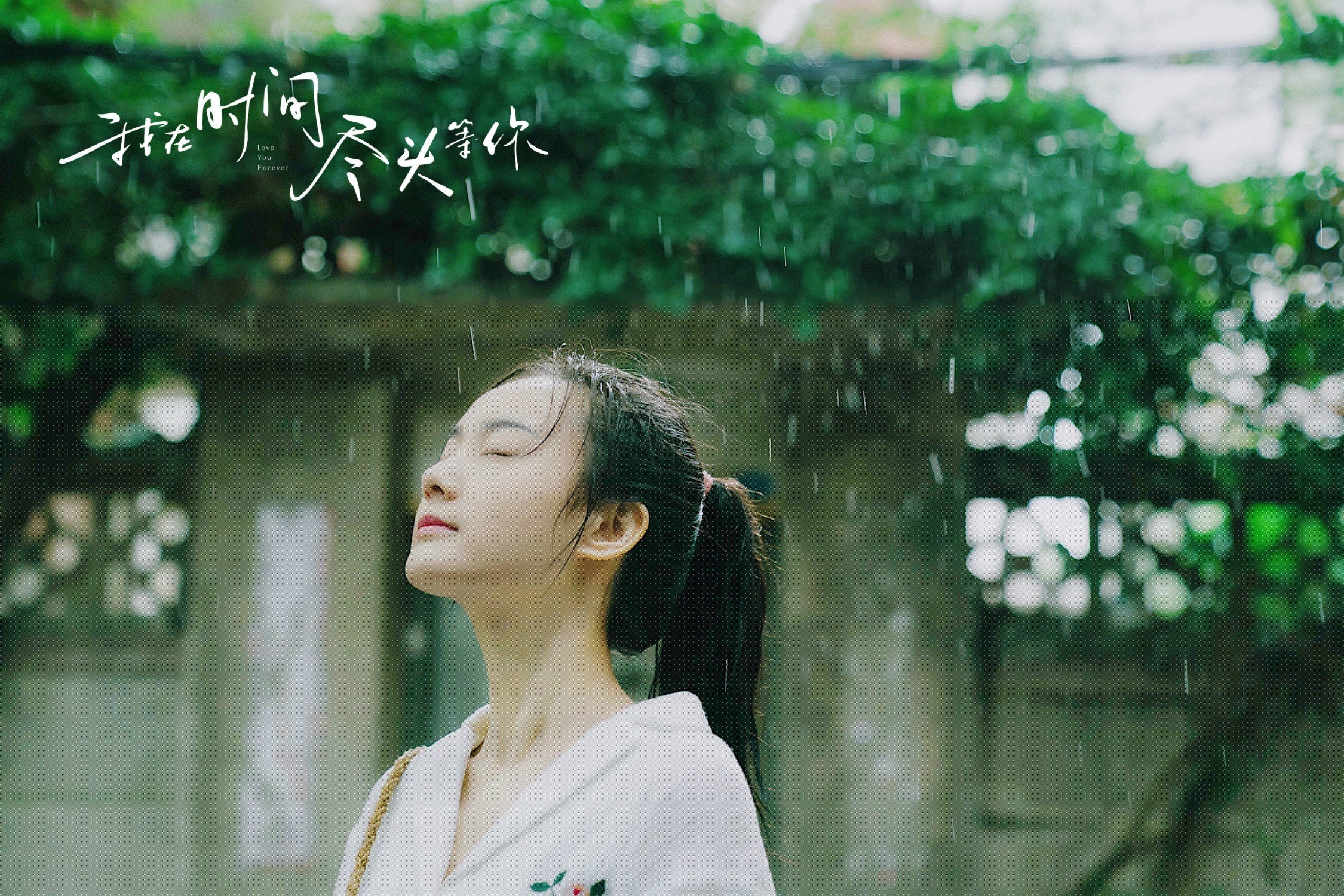 钢铁防线与闪电反击，从基辅到慕尼黑的胜利方程式