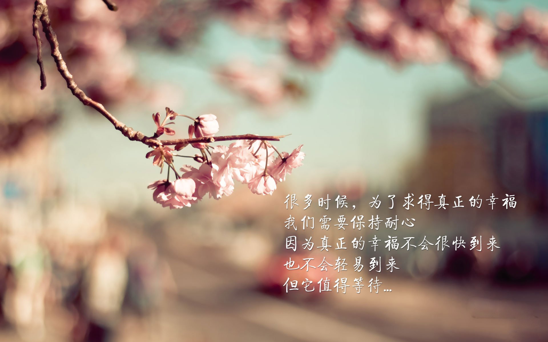 奥纳纳爆发，一个人的爆发，一个国家的节奏—比利时用精密传控拆解新西兰