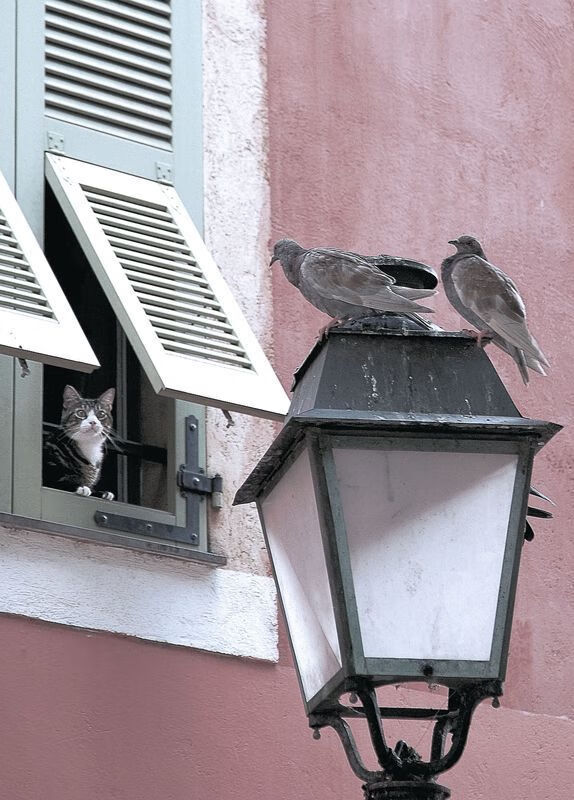 当孙兴慜的星光刺破天际，沙特的炮火已覆盖整片绿茵