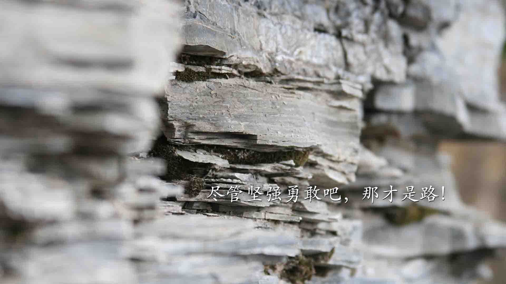 北境孤影，当西亚卡姆扛起整座冰原
