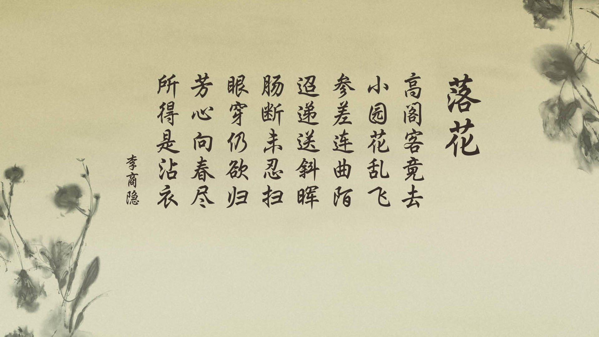冲破紫禁城，霍勒迪的完美风暴，如何用一己之力击溃华南虎的不朽神话