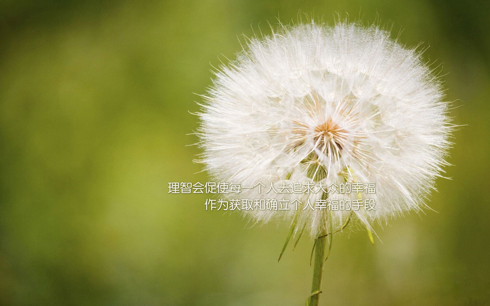 蓝色风暴席卷中亚，智利在2026世界杯E组以压倒性姿态宣告南美荣耀
