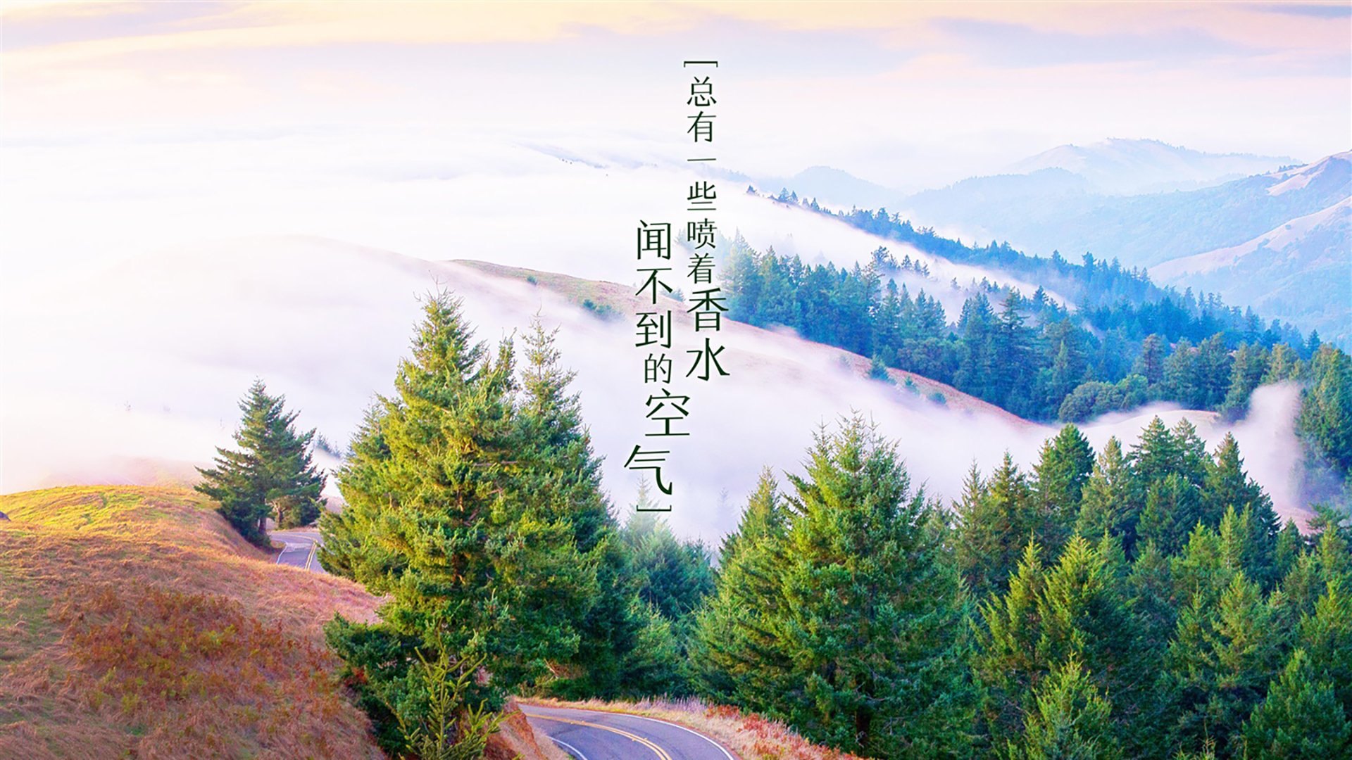 当佩德里点亮中亚之光,一场非典型宿命与2026死亡E组的蓝色预言