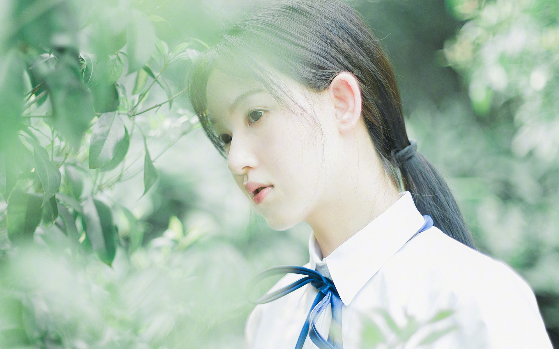当桑巴遇见樱花，2026世界杯B组唯一性的碾压剧本，费利克斯黯然失色
