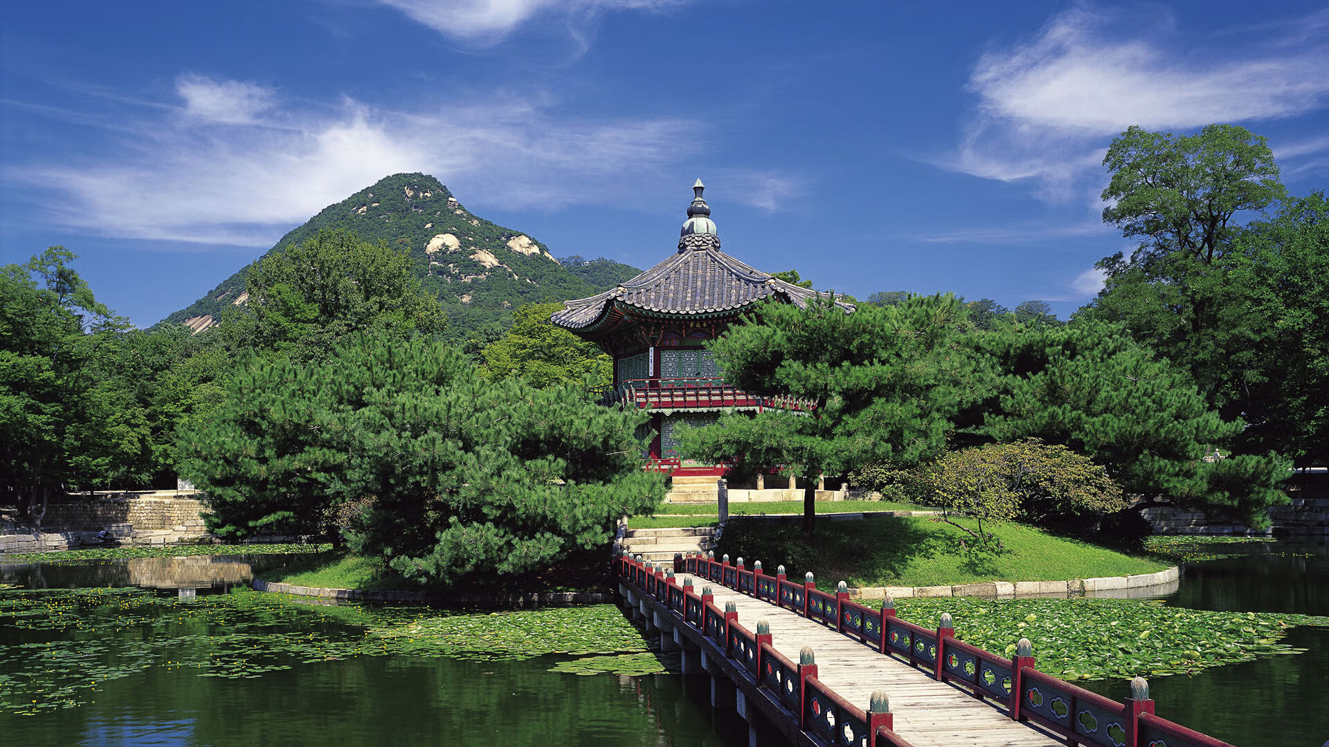 沙漠风暴席卷多哈,伊拉克以控球魔法击碎斯洛伐克防线,哈兰德三球定乾坤
